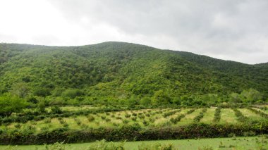 Büyük yeşil Kafkas dağ ormanlarının ve beyaz bulutlu mavi gökyüzünün güzel manzarası.