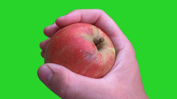 Primer Plano Una Mano Masculina Sosteniendo Manzana Roja — Foto de Stock