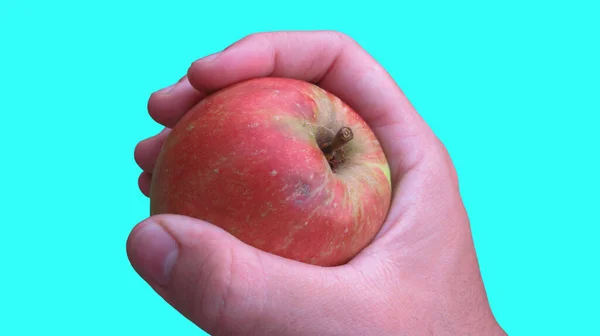 Eine Nahaufnahme Einer Männlichen Hand Die Einen Roten Apfel Hält — Stockfoto