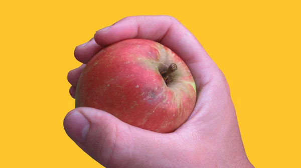 Primer Plano Una Mano Masculina Sosteniendo Manzana Roja —  Fotos de Stock