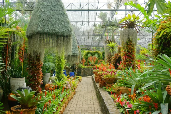 Invernadero con flores — Foto de Stock