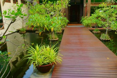 Bahçede güzel bir patika