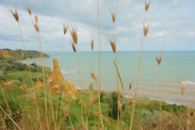 deniz manzarası ve bulutlar gökyüzü üzerinde