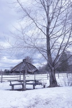 Kışın kırsal alan