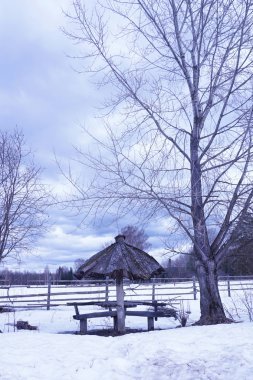 Kışın kırsal alan