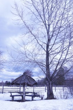 Kışın kırsal alan