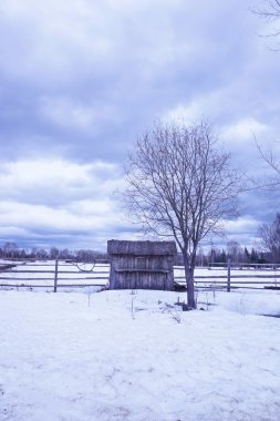 Kışın kırsal alan