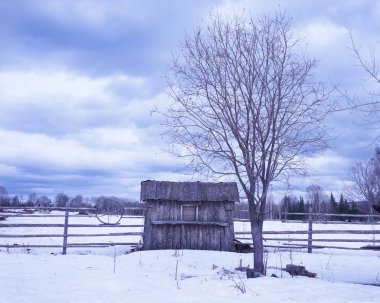 Kışın kırsal alan