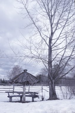 Kışın kırsal alan