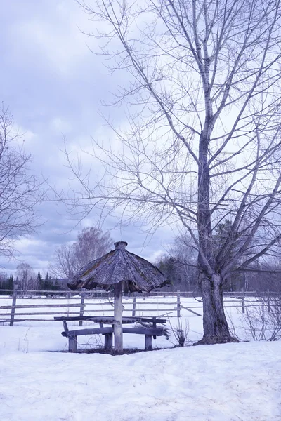 Landscape in winter — Stock Photo, Image