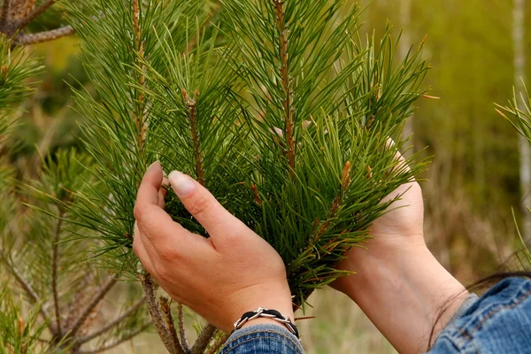 Protección de la naturaleza —  Fotos de Stock