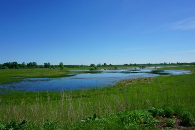 Peyzaj göl, çim, alan