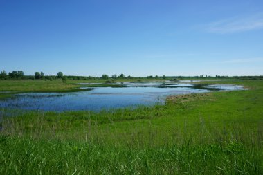 Peyzaj göl çim Sahası
