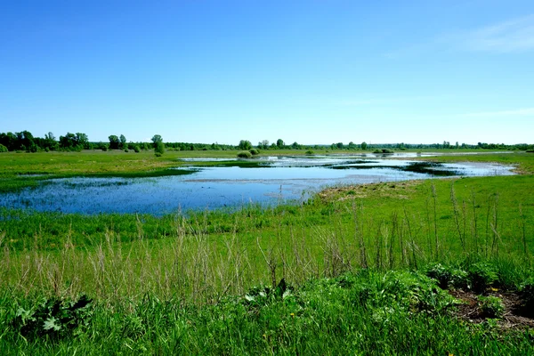 Krajobraz jeziora, trawa, pole, — Zdjęcie stockowe