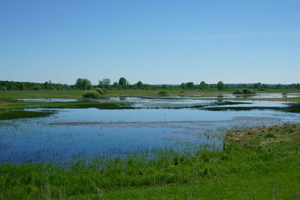 Landschaft See, Gras, Feld — Stockfoto