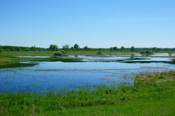 Landschaft See, Gras, Feld — Stockfoto