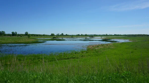 Landschaft See, Gras, Feld — Stockfoto