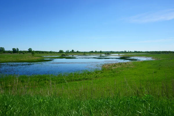 Landschaft See, Gras, Feld — Stockfoto