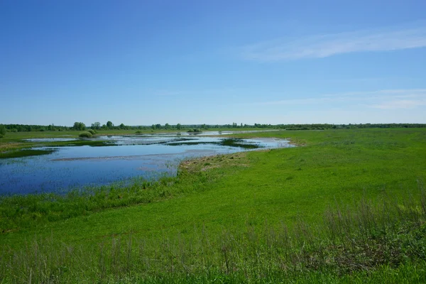 Landschaft See, Gras, Feld — Stockfoto