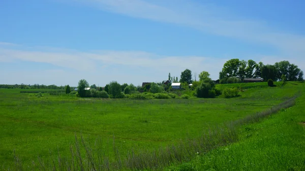 Paisagem, aldeia, grama, campo — Fotografia de Stock