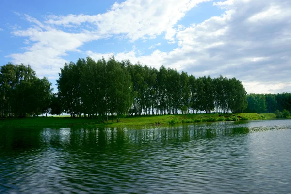 Krajobraz jeziora, lasu, niebo — Zdjęcie stockowe