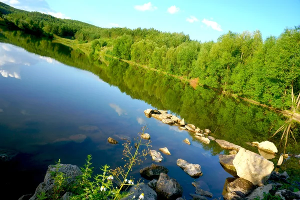 Peyzaj göl, orman, gökyüzü, su