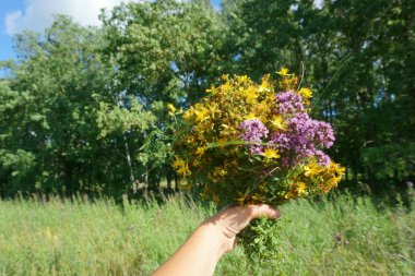 kır çiçekleri tutan el