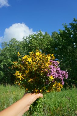 kır çiçekleri tutan el