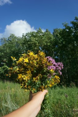 kır çiçekleri tutan el