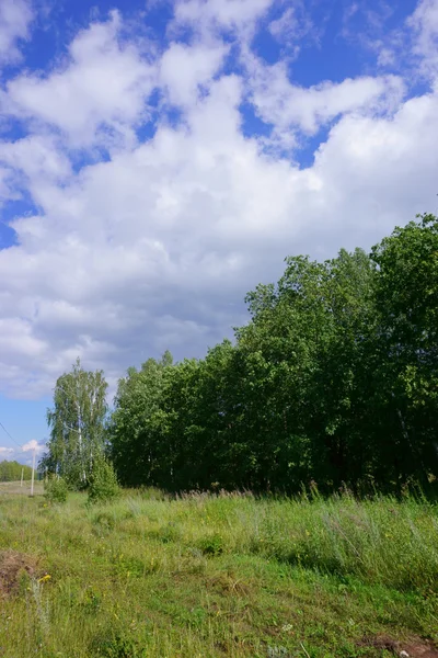 Landschaft Wald Feld Himmel — Stockfoto