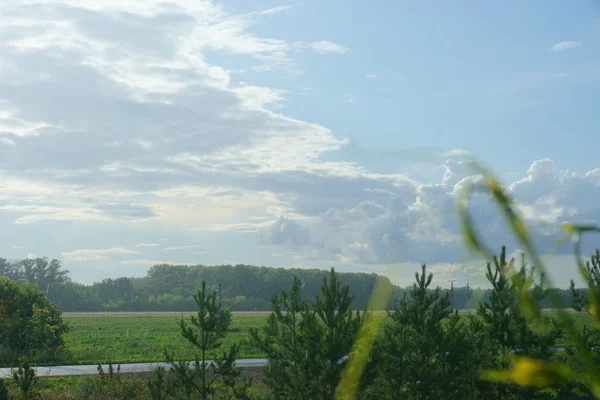 Landschaft Wald Feld Himmel Regen — Stockfoto