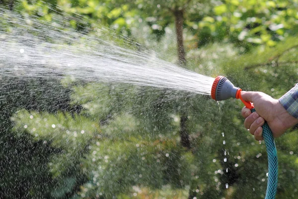 Hombre regando el jardín — Foto de Stock