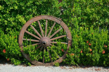 güzel ahşap tekerlek