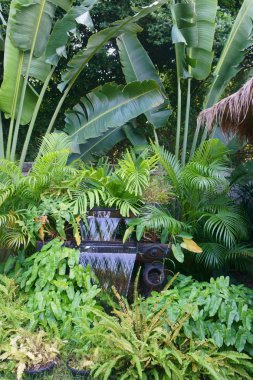 küçük güzel Çeşme