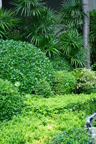 Hermosos macizos de flores en el jardín — Foto de Stock