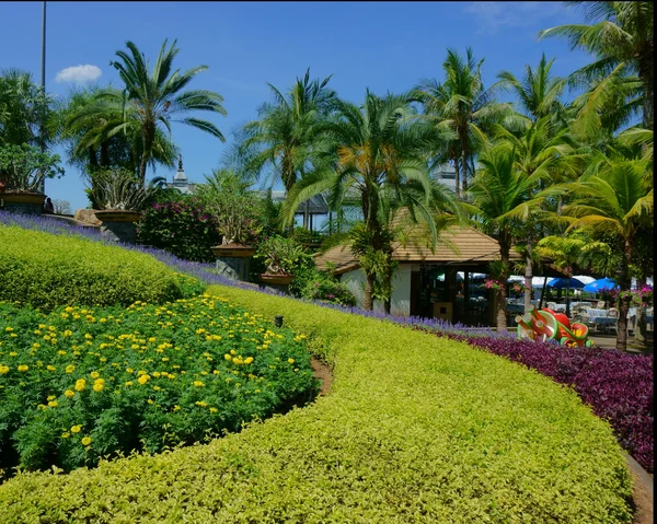 Macizos de flores en el parque — Foto de Stock