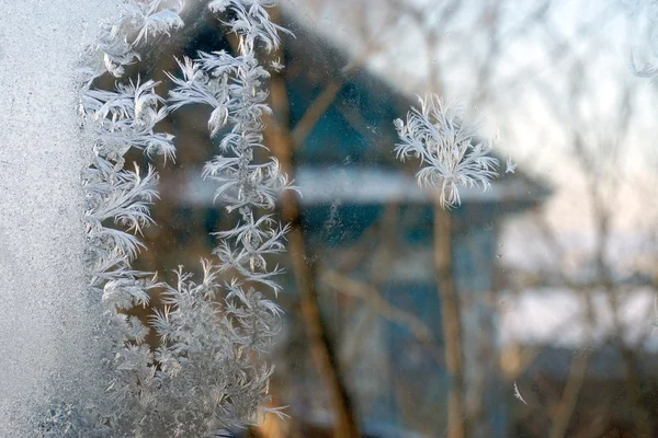 Sneeuwvlok op het venster — Stockfoto