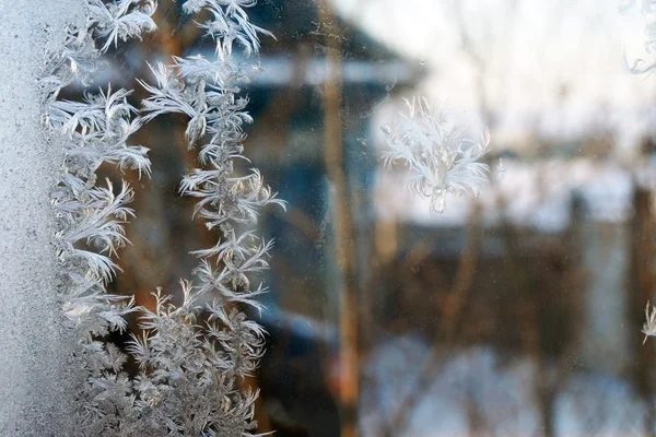 Sneeuwvlok op het venster — Stockfoto