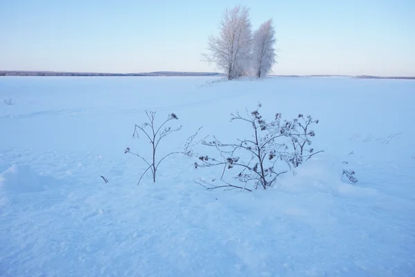 Landschap in de winter — Stockfoto