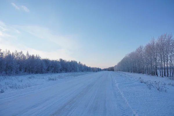 Landschaft im Winter — Stockfoto