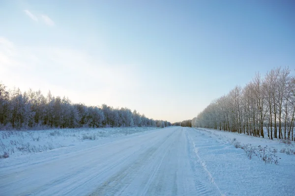 Landschap in de winter — Stockfoto