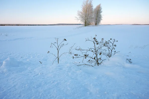 Paisaje en invierno —  Fotos de Stock