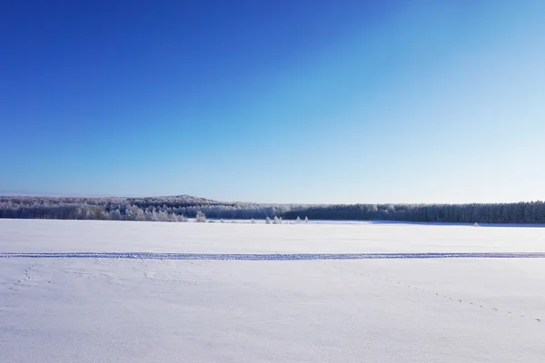 Пейзаж зимой — стоковое фото