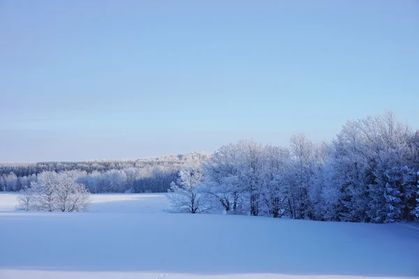 Landschaft im Winter — Stockfoto