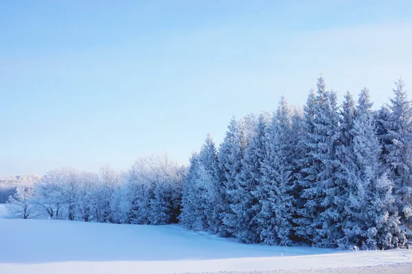 Landschap in de winter — Stockfoto