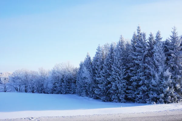 Landschaft im Winter — Stockfoto