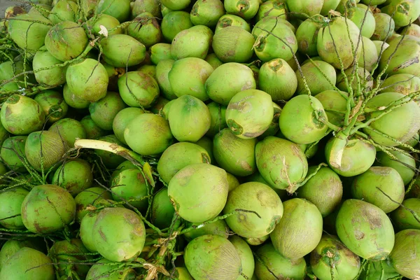Verse groene kokosnoten — Stockfoto