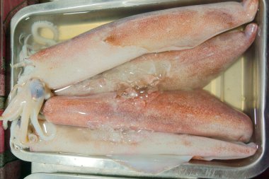 kalamar, deniz ürünleri piyasada