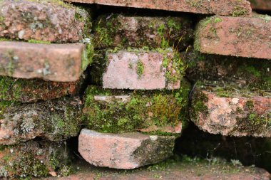 Şehrin dışında eski bir tuğla duvar manastırı.