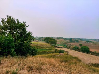 Akşam saatlerinde kırsal alanların manzarası